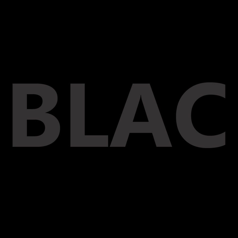 Introducing “BLAC”, legal aid clinic for Black Ontarians