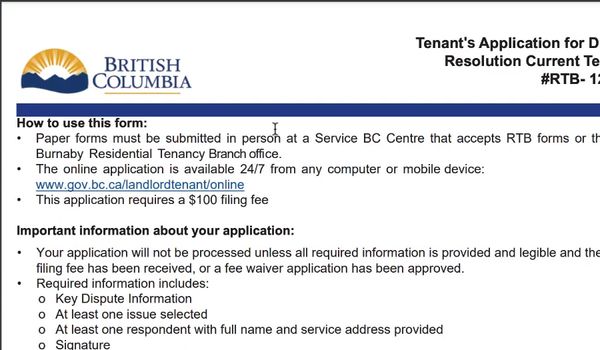 Court form automation for BC lawyers